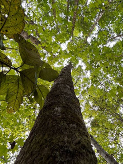 omgeving van psycholoog praktijk Hoofddorp